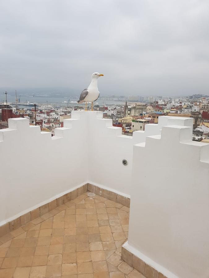 Maison Medina, Terrasse Panoramique, Vue Mer Tanger Luaran gambar